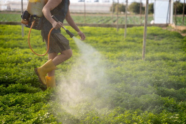 Reliable Footville, WI Pest Control Solutions