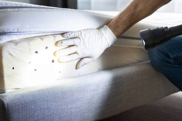 Best Pest Removal Services  in Footville, WI