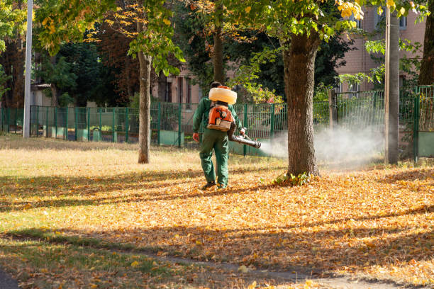 Best Local Pest Control Services  in Footville, WI