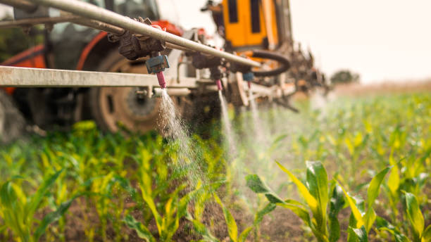 Best Mosquito Control Services  in Footville, WI
